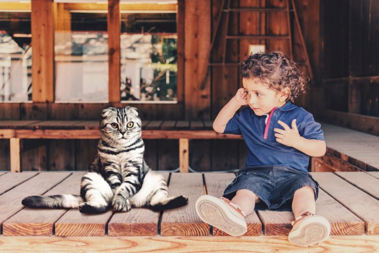 « Moi vouloir être chat »